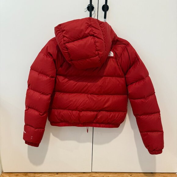 The North Face Hydrenalite Down Hoodie - Picture 2 of 6